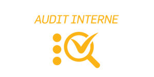 audit-interne-mase